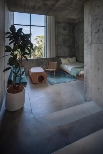a bedroom with a bed and a potted plant at MERIVAS MOTOBU -Ocean View Sauna Villa- in Motobu