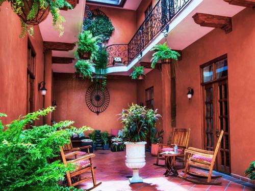Un jardín fuera de La Isabela Suites