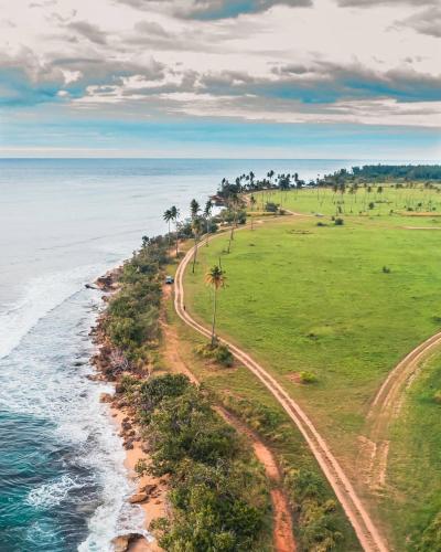 una vista aerea di una spiaggia con palme di Casa Colina a Camaceyes