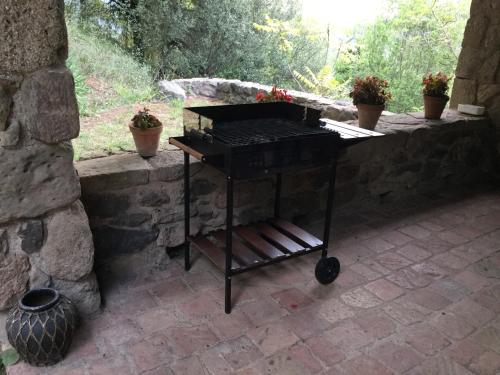 a grill sitting on a patio with potted plants at Mas Pardas in Santa Pau