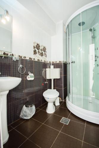 a bathroom with a toilet and a shower and a sink at Gura Diham in Buşteni