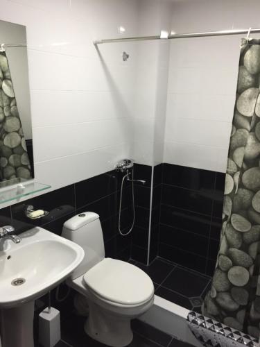 a bathroom with a toilet and a sink and a shower at Chalet Kokhta in Bakuriani