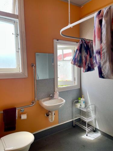 a bathroom with a sink and a mirror at Jack's Backpackers in Blenheim