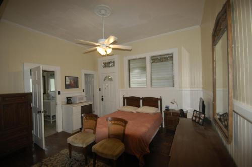 a bedroom with a bed and a ceiling fan at Hale Naalehu LLC Bed and Breakfast in Naalehu