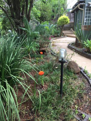 a garden with a parking meter in the grass at Sabie Self Catering Apartments in Sabie