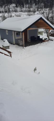 Domki letniskowe nad Jeziorem Solińskim Pasiekówka