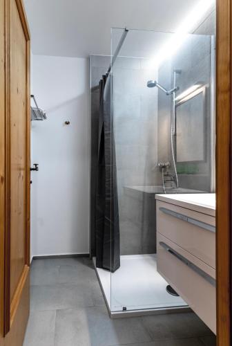 a bathroom with a glass shower and a sink at Mountain view apartments in Bad Mitterndorf