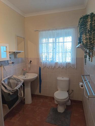 a bathroom with a toilet and a sink and a window at Uitkyk Guest House in Fouriesburg