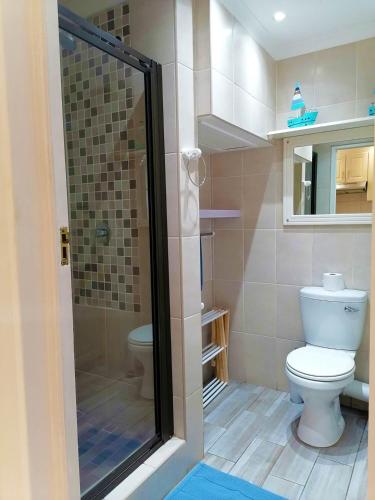 a bathroom with a toilet and a glass shower at Crayfish Inn No.4 in Ramsgate