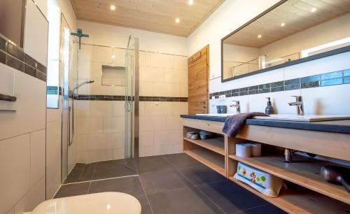 a bathroom with a shower and a toilet and a sink at Ferienhaus Benedikt in Fichtelberg