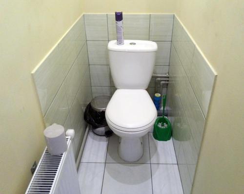 a small bathroom with a toilet in a stall at FOX Hostel in Mykolaiv