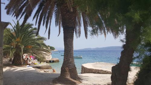 a beach with palm trees and a body of water at Apartments Drago Kovačić in Omiš