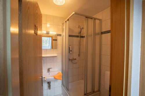 a bathroom with a shower and a sink at Gutshof Colmberg in Colmberg