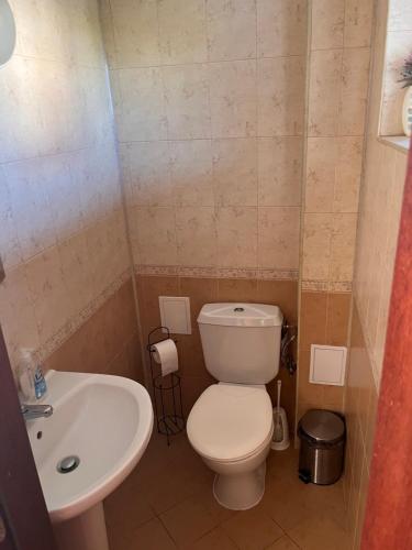 ein kleines Badezimmer mit Toilette und Waschbecken in der Unterkunft Villa Dreams in Golf Club Ibar in Dolna Banya