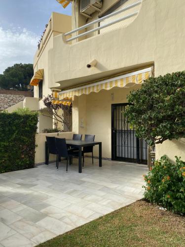 Mimosas Holiday Dream