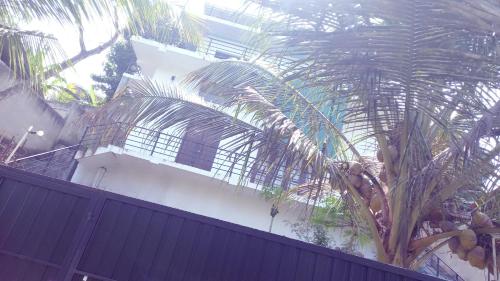 a building with a fence and a palm tree at skymirror unawatuna in Unawatuna