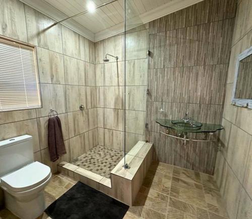 a bathroom with a shower with a toilet and a sink at Waterval Karoo Guest Farm in Laingsburg