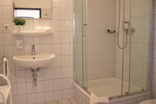 a bathroom with a shower and a sink and a tub at Am Langenwerder Whg 4 in Gollwitz
