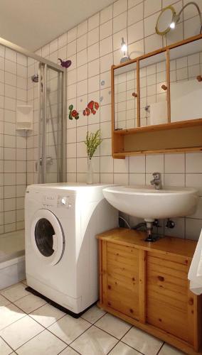 a bathroom with a washing machine and a sink at Apartment Pawelzig in Kirchdorf