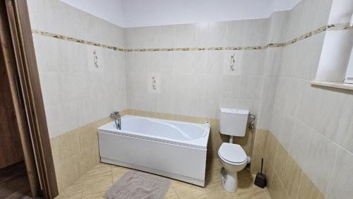 a bathroom with a bath tub and a toilet at Rădăuți Residence in Rădăuţi