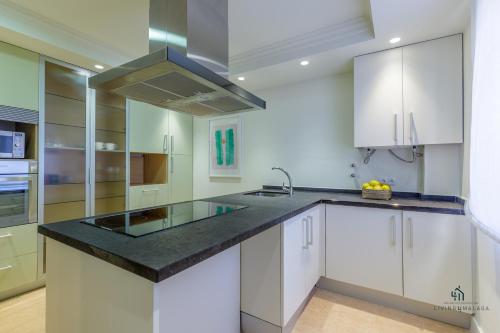 Living4malaga La Galerie Apartment