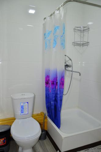 a bathroom with a toilet and a shower curtain at Uhum Mountain Guesthouse in Yukary-Ukhum