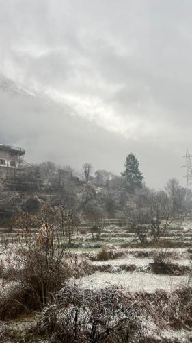 a field with snow on the ground and trees at Nomaden Kasol in Kasol