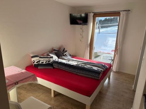 a bed with pillows on top of it in a room at Kleines aber feines Studio in Zuoz