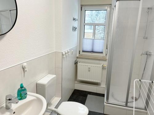 a bathroom with a toilet and a sink and a shower at Monteurwohnung in Coswig in Coswig
