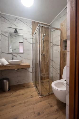 a bathroom with a shower and a toilet and a sink at Apartamenty u Petuski z Jacuzzi in Szaflary