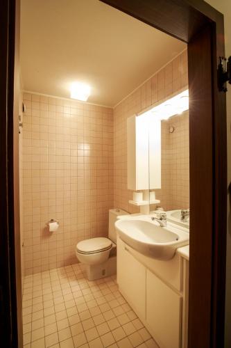 a bathroom with a toilet and a sink at Chesa Cuntainta B 4pax - St Moritz in St. Moritz