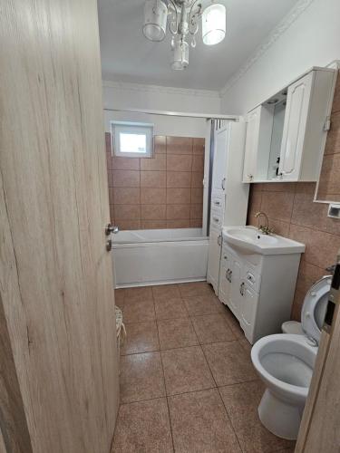 a bathroom with a toilet and a sink at Rowlands Way 1 in Ţegheş