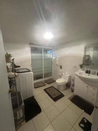 a bathroom with a shower and a toilet and a sink at El Rincon Secreto in Quillota