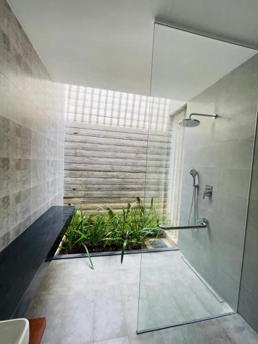 a bathroom with a glass shower with a plant at Hansa Villa in Weligama