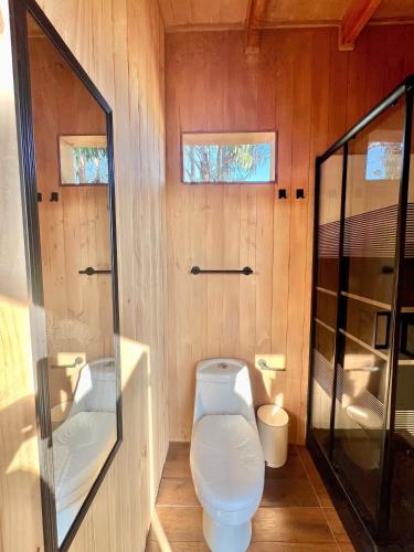 a bathroom with a toilet and a glass shower at Tiny House Pangal in Pichilemu