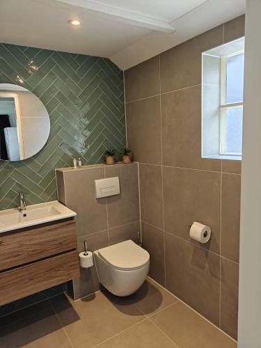 a bathroom with a toilet and a sink and a mirror at Theehus in Steggerda