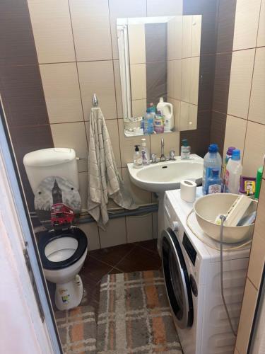 a bathroom with a toilet a sink and a washing machine at Kay Borsa in Alba Iulia