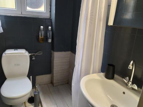 a bathroom with a toilet and a sink at Spiros old town apartment in Corfu