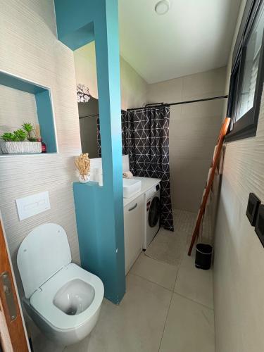 a bathroom with a toilet and a sink at Ô Ti' Lodge Vanilla in Bras-Panon