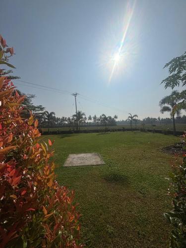 a large field with the sun in the sky at MJ paddy view Homestay in Kumarakom
