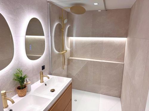 a bathroom with a sink and a shower and a mirror at Appartement Toulouse - Quartier des Chalets in Toulouse