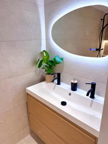 Appartement Toulouse - Quartier des Chalets