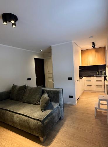 a living room with a couch and a kitchen at Apartamenti Ikšķile in Ikšķile