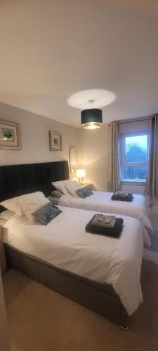 a bedroom with two beds and a window at The Mourne Nest in Newcastle