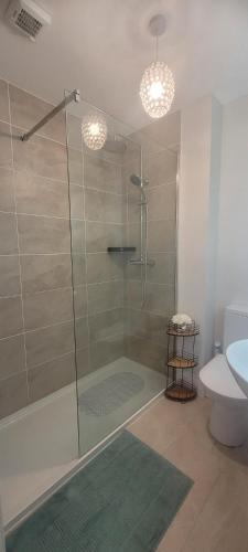 a bathroom with a shower with a toilet and a sink at The Mourne Nest in Newcastle