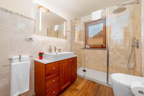 a bathroom with a sink and a toilet and a shower at Maison Carrel Elegant 4 in Breuil-Cervinia
