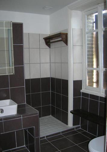 a bathroom with a shower with a toilet and a sink at Chez Caro in Mourjou