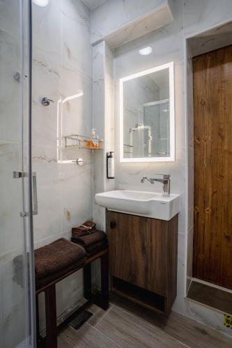 a bathroom with a sink and a mirror and a shower at 9 Studio Flat in Victoria