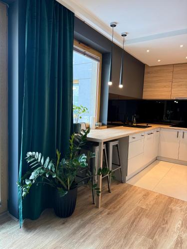 ALEKSANDRA1 - SILENT