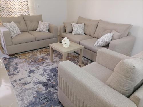 Zayed family appartment